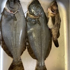 30歳以上の方