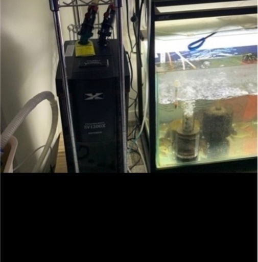 熱帯魚&水槽一式（水槽台付）全部まとめて