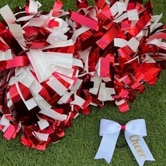 キッズチア体験会　12月18日の画像