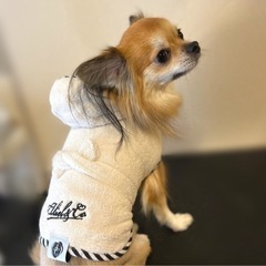 高幡不動のトリミングサロン(訪問トリミングも)　dog care salon  『cuddle dog』 - ペット