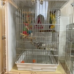 鳥かご 鳥用ケージ(HOEI465オウム) 【サイズ】Ｗ465×...