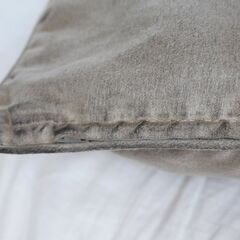 【受け渡し予定者様有り】ニトリ　座布団　ベロア　の画像