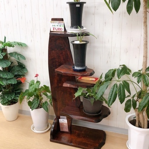 木製飾り棚✨和風　5段✨転倒防止マットのおまけ付き✨幅36.5×奥行56×高さ132cm✨中古品　【こちらは店舗です。浜村鹿野温泉ICから3分 買取本舗 宮本リサイクル 営業時間９～１９時 定休日水曜のみ←連絡できませんm(_ _)m】