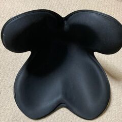 姿勢矯正シート２点
