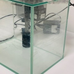 水槽、ライトセットの画像