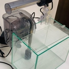 水槽、ライトセットの画像