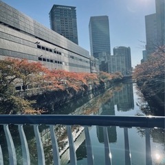 12月18日(土)朝活🌅ゴミ拾いしませんか？