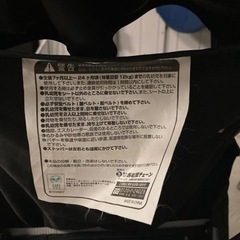 ミッキー　バギーの画像