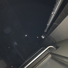 散歩仲間募集（主に夜　週3予定で散歩中）