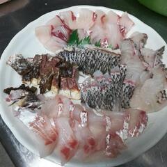 筏(いかだ)釣りしませんか？ − 熊本県