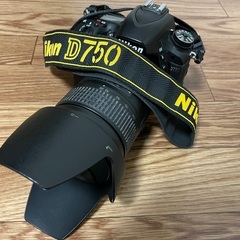 フルサイズ一眼！Nikon D750 +28mm-300mm【そ...