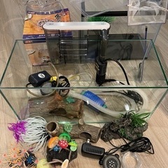 水槽 GEX セット【⠀取引先決定  】