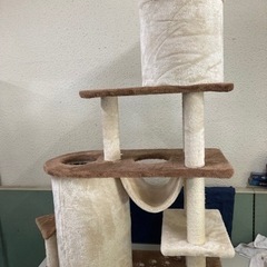 キャットタワー　キャットツリー サークル KTS12-0683