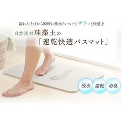 【新品】アイリスオーヤマ 速乾快適バスマット【Lサイズ】 