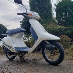 原付🛵‼️マニア必見‼️IVタクト‼️HONDAﾏﾆｱ必見‼️
