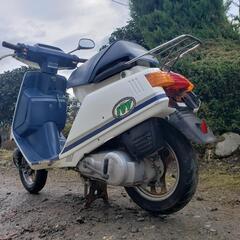 原付🛵‼️マニア必見‼️IVタクト‼️HONDAﾏﾆｱ必見‼️の画像
