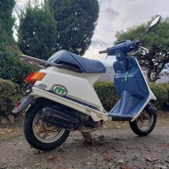 原付🛵‼️マニア必見‼️IVタクト‼️HONDAﾏﾆｱ必見‼️の画像