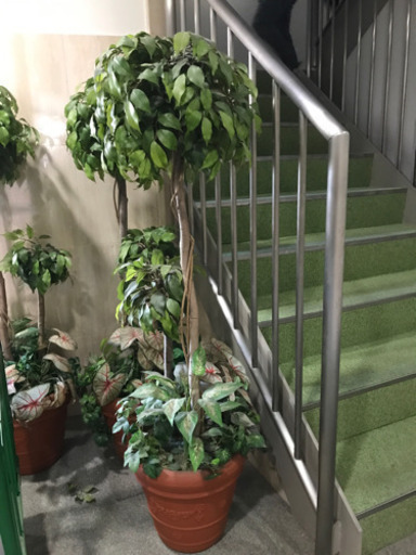 ✨フェイク観葉植物✨