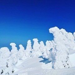【雪山登山仲間募集】2022/1/26更新 - 江戸川区