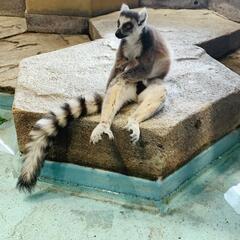 ゴルフ仲間募集中です！