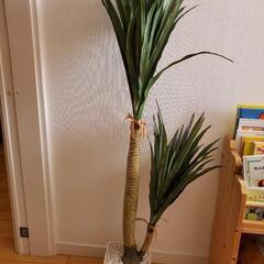 グリーン　観葉植物　鉢植え　フェイク