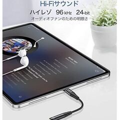 USB-c × 3.5mmミニステレオDACの画像
