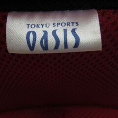 骨盤チェア 骨盤スリムチェア 幅40㎝ OASIS 赤 レッド エクササイズ 骨盤ケア DVD付き 札幌 厚別店の画像