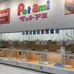 【正社員】ペットショップ犬猫販売スタッフの画像