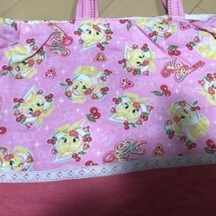 レッスンバックとシューズケースと移動ポケット　usedの画像