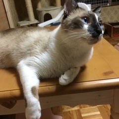 無事保護出来ました！ − 広島県