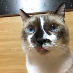 無事保護出来ました！ - 助け合い
