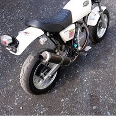 エイプ50 実動　武川カスタム　ボアアップ80cc 4mini 説明欄要チェックお願いします。25→22万円でお願いします。の画像