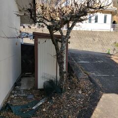 庭の木色々あります。薪などにいかがですか?の画像