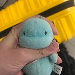 【落とし物探してます】交通安全マナーティ