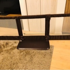 おくだけ通せんぼL 