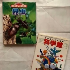 昆虫　21世紀こども百科科学館