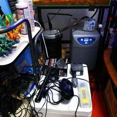 【取引中】海水水槽2台+生体セット ※12月25日までの引渡し(引越の為、投げ売りします)の画像