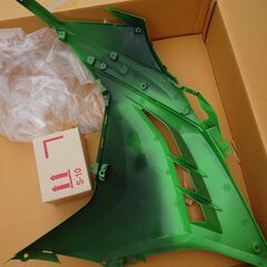 ninja 250カウルの画像