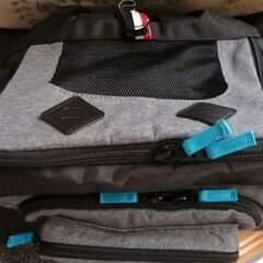 ペットパラダイス ハグ＆リュックキャリーバッグ ペットキャリー 小型犬の画像