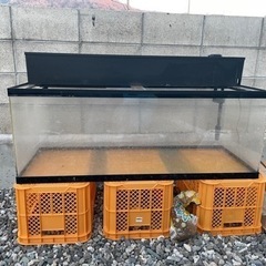 アクリル120センチ水槽