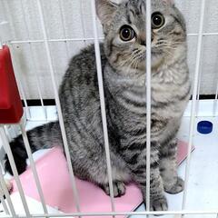 引っ越しにより、泣く泣く手放すことになりました。