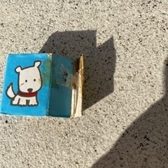 ドンジャラ。うちのタマ知りませんか？の画像