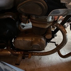 メグロ　SGの画像