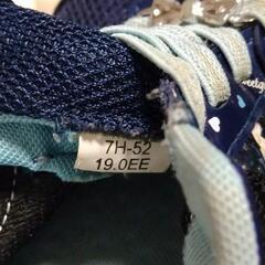 ムーンスタースニーカーの画像