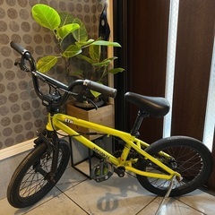 ARES (アーレス) STN 16インチ BIKE BMX 自...