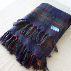 【USED美品】viewカード　ブランケット　ストール　膝掛けの画像