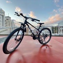 本格自転車 (GT アグレッサースポーツ2020年)の画像