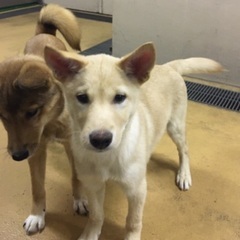 岡山市保健所★クリスマスは暖かい家族と暮らせますように...
