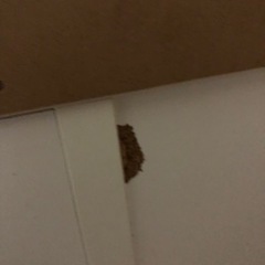 IKEA MICKE デスクの画像