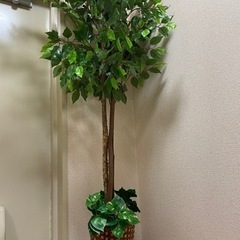 造花　観葉植物